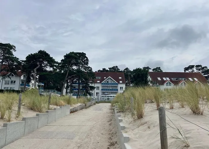 Blaumuschel Sprotte 17 Lubmin