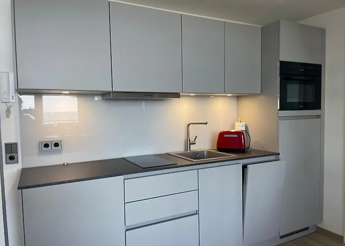 Blaumuschel Sprotte 17 Lubmin